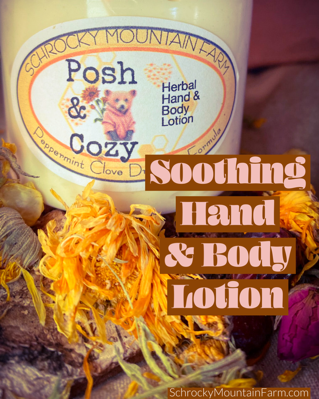 Posh & Cozy Hand and Body Lotion 6 oz. Jar