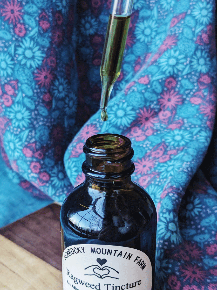 Ragweed Tincture